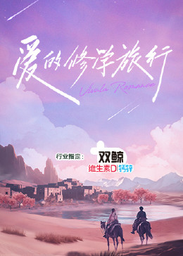 seo有哪些规则