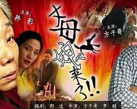 哪个seo教程比较好