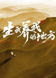 兴化网站优化排名企业