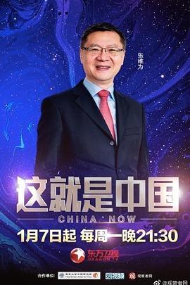 湛江优化seo搜索