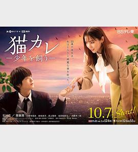 信阳seo优化软件