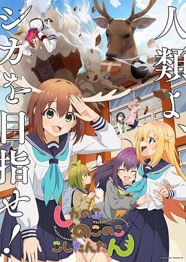 seo怎么优化方案内容