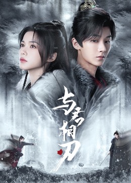 公司seo怎么排名